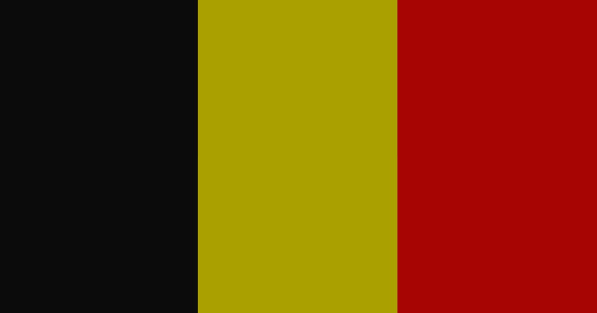 Belgia Business Finland