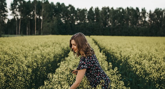 Finland_autumn_cornfield_EmiliaHoisko.jpg