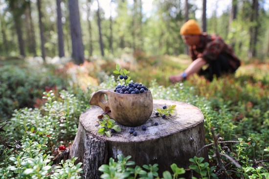 Lisää dating sivustot
