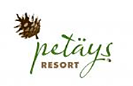 Petäys