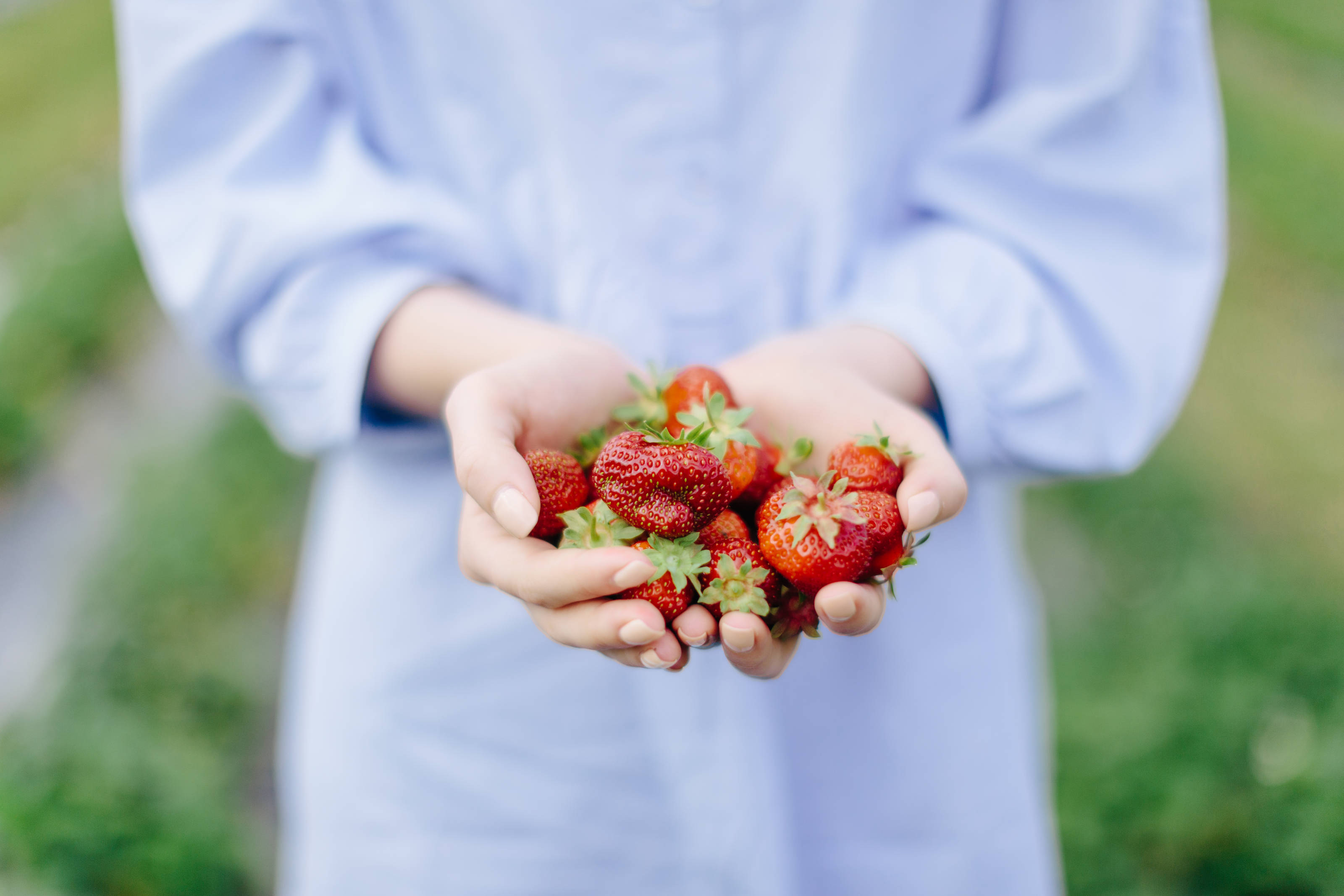 VisitFinland_berries